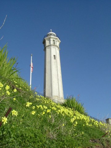 cali_024