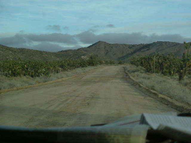 cali_049