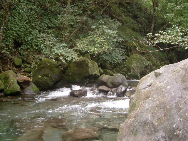 cali_069