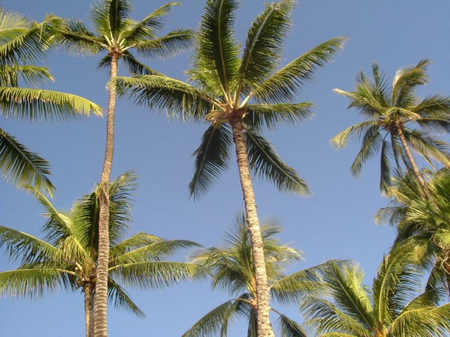 cali_070