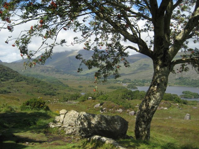irland_018