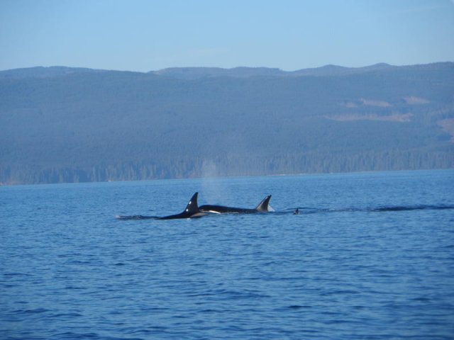 kanada_062