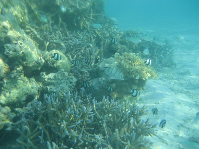 malediven_27