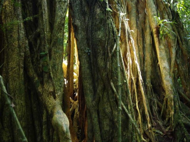panama_066