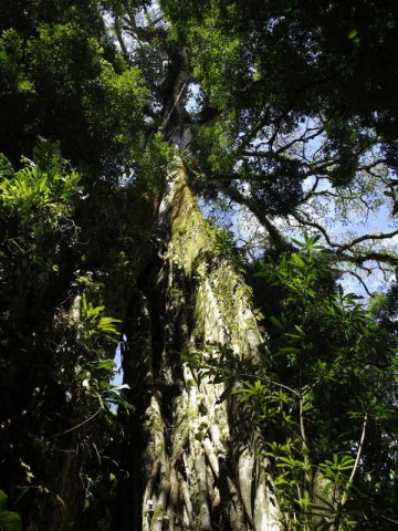 panama_067