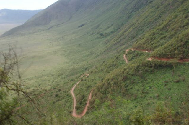 serengeti_52
