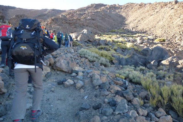teneriffa_019