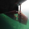 bermuda_003