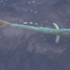 bermuda_018