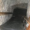 bologna_08