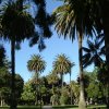 cali_007