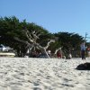 cali_009
