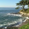 cali_011