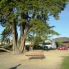cali_012