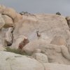cali_053