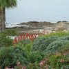 cali_055