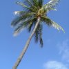 cali_062
