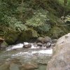 cali_069