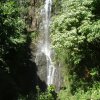 cali_077