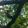 costa_rica_karibik_2020_17