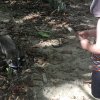costa_rica_karibik_2020_18