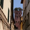 epd_lucca0002