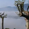 epd_lucca_16