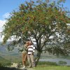 irland_017