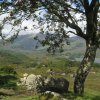 irland_018
