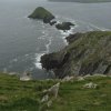 irland_032