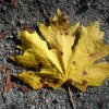 kanada_011