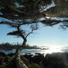kanada_036