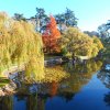 kanada_057
