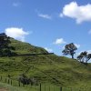 nz_nordinsel_2017_0017