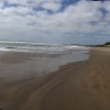 nz_nordinsel_2017_0023