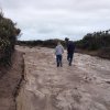 nz_nordinsel_2017_0031