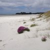 nz_nordinsel_2017_0032