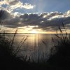 nz_nordinsel_2017_0049
