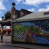 nz_nordinsel_2017_0053