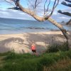 nz_nordinsel_2017_0060