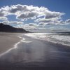 nz_nordinsel_2017_0080