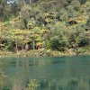 nz_nordinsel_2017_0089