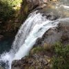 nz_nordinsel_2017_0091
