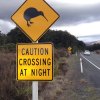 nz_nordinsel_2017_0092