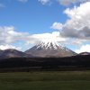 nz_nordinsel_2017_0093