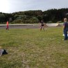 nz_nordinsel_2017_0110