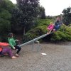 nz_nordinsel_2017_0111