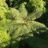 nz_nordinsel_2017_0128