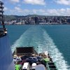 nz_nordinsel_2017_0131