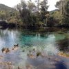 nz_sdinsel_2017_0009